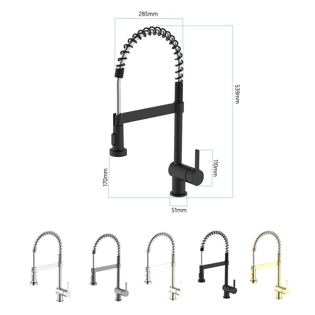 Sanitary Ware Spring Telescopic Sink Mixer Pull out 3 Way Drinking Water Kitchen Faucet