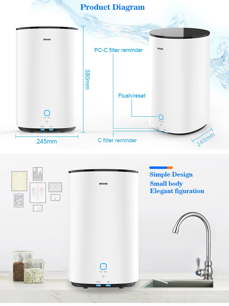 2021 Best Household Kitchen RO Water Purifier 400g for Home Use