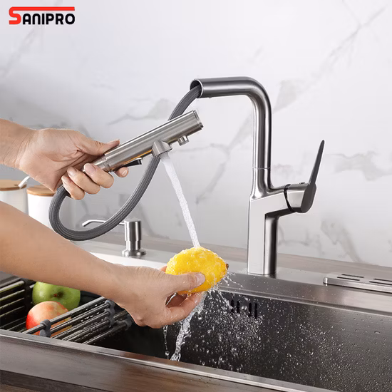 Stainless Steel Kitchen Faucet Purifier Water Tap Filter