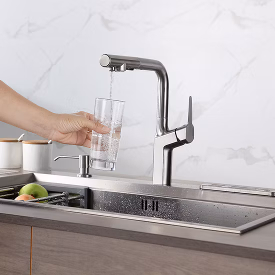 Stainless Steel Kitchen Faucet Purifier Water Tap Filter